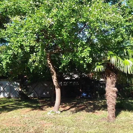 Apartamento Grazia Umago