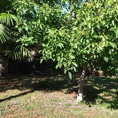 Apartamento Grazia Umago