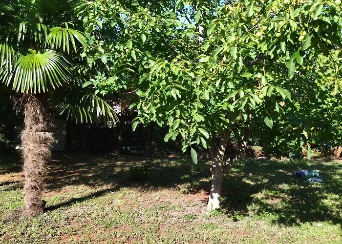 Apartamento Grazia Umago